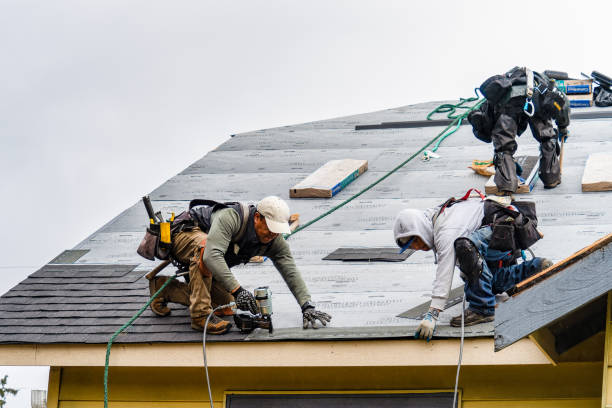 Professional Roof Inspection technician working in Keuka Park, NY